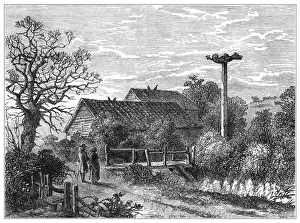 Sydenham Wells
