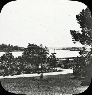 Sydney, Australia - Farm Cove, from Botanical Gardens