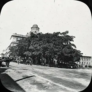 Lachlan Prints: Sydney, Australia - Macquarie Place