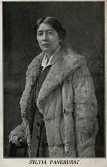 Suffrage Collection: Sylvia Pankhurst Suffragette