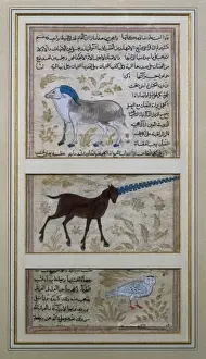 The Three Symbolic Animals of Alchemy. Islamic