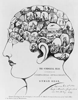 Phrenology Collection: The Symbolical head, illustrating all the phrenological deve
