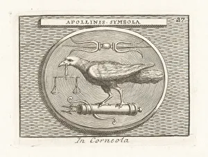 Ridolfino Venuti Prints: Symbols of the Greek god Apollo, Etruscan Apulu