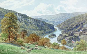 Symonds Yat, Wye Valley, Herefordshire