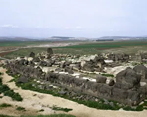 Basalt Gallery: Syria. Ain Dara Temple. Panorama