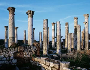 Apamea Gallery: SYRIA. APAMEA (Afamia). Roman houses. Ruins