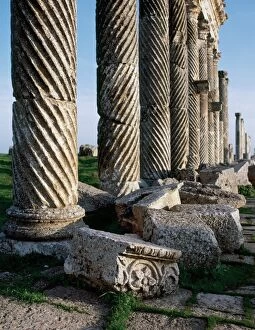 Architectonic Gallery: Syria. Apamea or Apameia (Afamia). Colonnade in the Cardo Ma