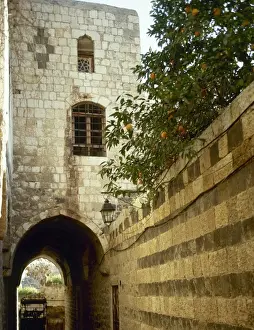 Pasha Prints: Syria. Hama. The Azm Palace