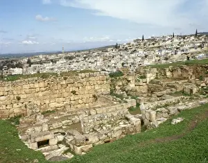 Harem Prints: Syria. Harem. City and fortress