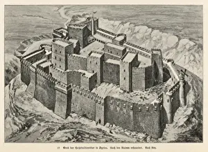 Looked Prints: Syria / Krak / Castle C1125