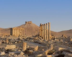X7caf Me Collection: SYRIA. Palmira. Great Colonnade. In the background