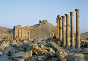 SYRIA. Palmira. Great Colonnade. In the background