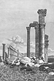Palmyra Prints: Syria / Palmya / Pillars