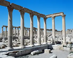 Oasis Prints: Syria. Palmyra. Baths of Diocletian. 4th century AD. Ruins