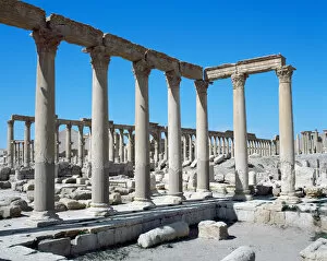 Architectonic Gallery: Syria. Palmyra. Baths of Diocletian. 4th century AD. Ruins