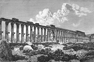 Palmyra Ruins