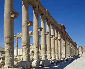 Oasis Prints: Syria. Ruins of Palmyra. Middle East. Colonnade. 3rd century