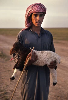 Syrian Collection: Syrian bedhouin shepherd boy holds a small lamb in his arms