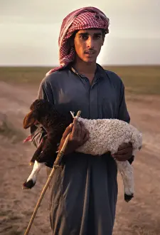 Lamb Prints: Syrian bedhouin shepherd boy holds a small lamb in his arms