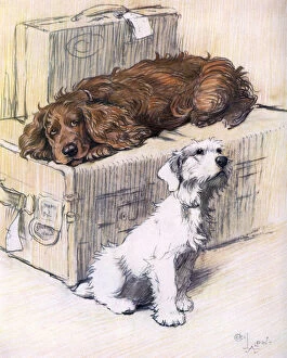 Images Dated 7th October 2015: Can t We Come Too? by Cecil Aldin
