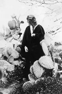 Rule Prints: T E Lawrence (Lawrence of Arabia) with cacti