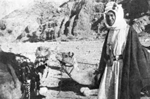 Images Dated 9th August 2011: T E Lawrence (Lawrence of Arabia) with camels
