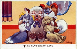Images Dated 9th June 2011: They can t ration love