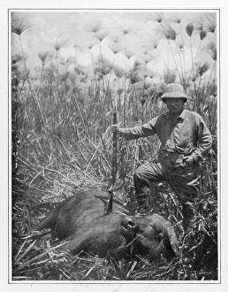 Papyrus Prints: T ROOSEVELT/BUFFALO 1910