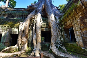 Images Dated 12th November 2014: Ta Phrom, Khmer Temple in Angkor, Siem Reap, Cambodia