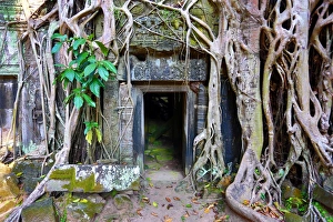 Images Dated 12th November 2014: Ta Phrom, Khmer Temple in Angkor, Siem Reap, Cambodia