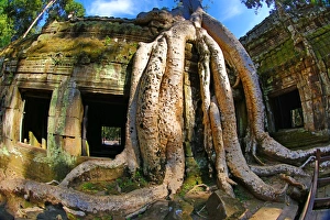 Images Dated 12th November 2014: Ta Phrom, Khmer Temple in Angkor, Siem Reap, Cambodia