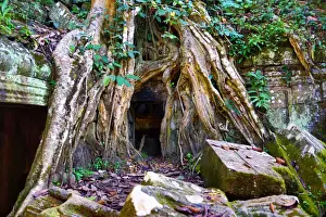 Ta Phrom, Khmer Temple in Angkor, Siem Reap, Cambodia