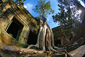 Ta Phrom, Khmer Temple in Angkor, Siem Reap, Cambodia