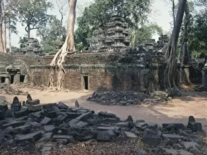 Ancestor Gallery: Ta Prohm temple, Siem Reap, Cambodia