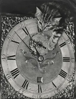 Tabby kitten with grandfather clock