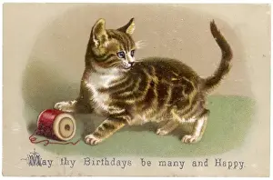 Reel Prints: Tabby Kitten with Reel