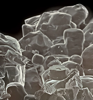 Micro Photography Gallery: Table salt