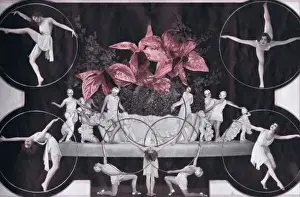 Tableau Ce Que Disent Les Fleurs in De La Folie Pure at th