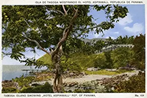 Panama Prints: Taboga Island showing the Hotel Aspinwall