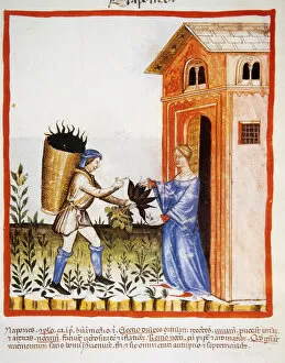 Tacuinum Sanitatis. 14 th century. Medieval handbook of heal