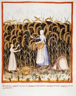 Tacuinum Sanitatis. Late 14th century. Peasant with her daug