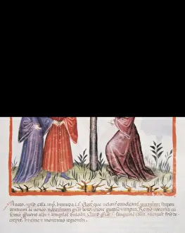 Tacuinum Sanitatis. Late XIV century. People next to hazelnu