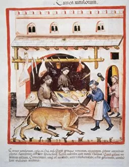 Tacuinum Sanitatis. Late XIV century. Butchery