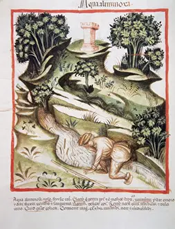 Taccuino Prints: Tacuinum Sanitatis. A man drinks water from a river