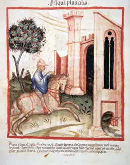 Taccuino Prints: Tacuinum Sanitatis. Man riding in the rain