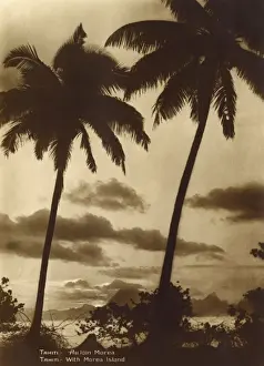 Polynesia Prints: Tahiti - Coastal scene with Palm Trees / Moorea Island