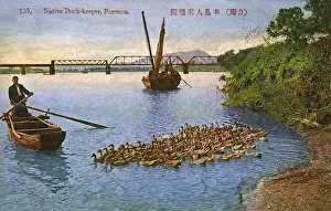 Formosa Prints: Taiwan (Formosa) - Native Duck Keeper herding his flock
