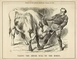 Taking Bull by Horns
