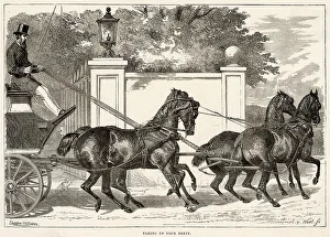 Delicate Prints: TAKING UP THE REINS