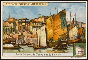 Taku Prints: Taku (Liebig)